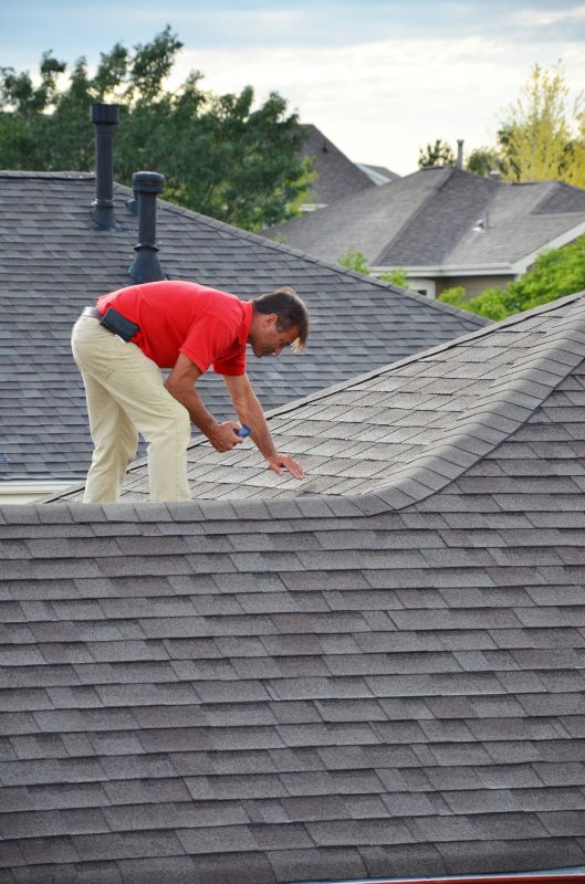 Roofing Service in Action